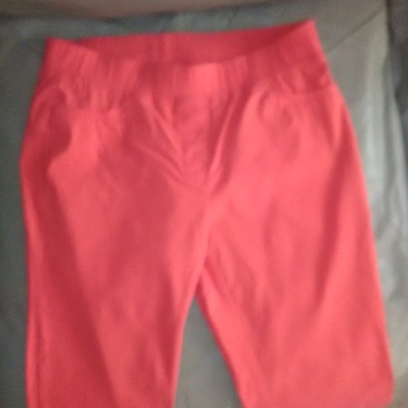 Crocodile Stretch Pull-On Ankle Pants EUC! - Picture 2 of 7